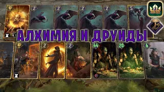 GWENT | АЛХИМИЯ и ДРУИДЫ на ПИВЕ (Боевой транс) — гайд | Гвинт Патч 12.5