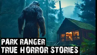 12 EXTREMELY INSANE SCARY PARK RANGER HORROR STORIES (DOGMAN,SASQUATCH,WENDIGO,DEEP WOODS,CREEPY)