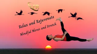 Relax and Rejuvenate: Mindful Moves and Stretch