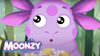 Moonzy | What's In A Name | Episode 5 | Cartoons for kids