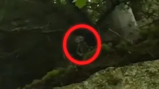 5 LITTLE MONSTERS caught on camera