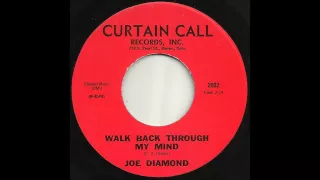 Joe Diamond  - Walk Back Through My Mind