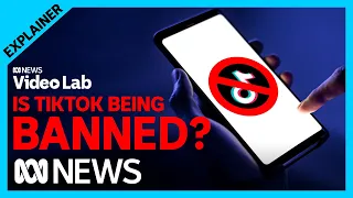 Why are governments banning TikTok? | ABC News VideoLab