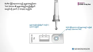 [Burmese ver.] Video Guide for STANDARD Q COVID-19 Ag test (professional use only)