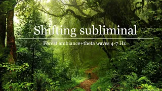 SHIFTING SUBLIMINAL |forest ambiance+theta waves 4-7 Hz| FALL SLEEP AND WAKE UP IN YOUR DR