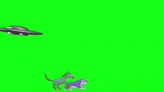 Animals Running Green Screen  | Animal Stampede Green Screen Animation#@JPCartoon514