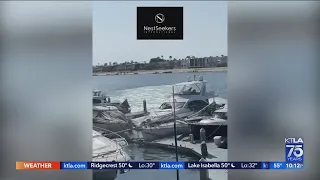 Yacht theft results in boat chase in Newport Beach