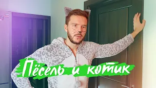 пёсель и котик