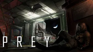 Prey ➠ Часть 16: В поисках пилота