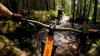 NOTHING BUT THE BEAST | Mountain Biking Coed y Brenin in Wales