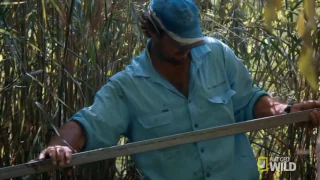 Securing the Croc Trap | Outback Wrangler