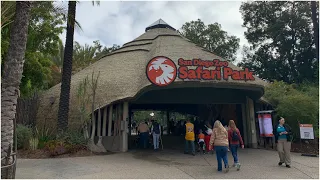 San Diego Zoo Safari Park Africa Tram | Tour and Overview | 4K