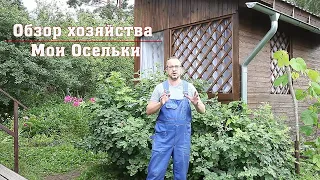 Обзор хозяйства. Мои Осельки