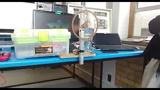 Swing up and Stabilization of a Reaction Wheel Inverted Pendulum (RWIP)