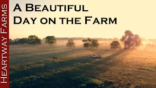 Farm Life | Family of 8 Working | Drone Footage | Simple Living | Heartway Farms