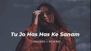 Tu Jo has has Ke Sanam Mujhse Baat Karti Hai || (90's Slowed and Reverb song) || Lofi Mix