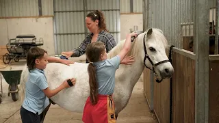 Rambling with the Irish Rare Breeds: The Kerry Bog Pony