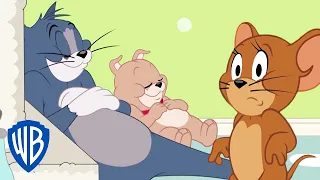 Tom et Jerry en Français | Tyke oublie qu'il est un chien | WBKids