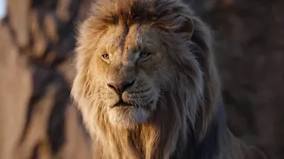 The Unapologetic Reaction to “Mufasa: The Lion King” Teaser Trailer