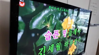 가수:정선아 정선 신동읍 예미2리 경노당에서 신나는 디스코파티