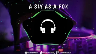 DJ A SLY AS A FOX MENGKANE