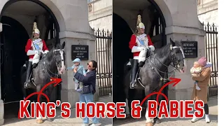 King’s HORSE & CUTE Babies show love. (The King’s Guard)