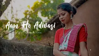 Am Ho Adivasi - New Santhali lofi slowed Reverb song Santh Beatz