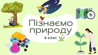 №036 Які планети належать до земної групи