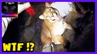 Far Cry 5 ► WTF & Funny Moments Compilation #1