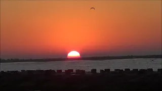 South Padre Island Sunrise (Featuring J. Monroe) 2020