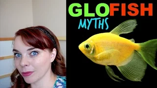 THE TRUTH ABOUT GLOFISH | Glofish Explained