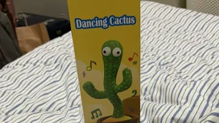 Terry’s Food Trip is live! Unboxing Dancing Cactus thank you Beshy Patch ko mwahuga!