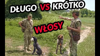 Szorstko vs długowłosy - czy to NAPRAWDĘ ma znaczenie?