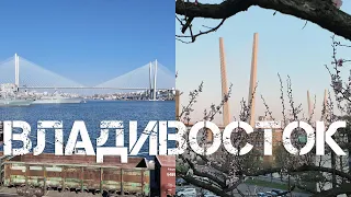 Владивосток от Морского вокзала до театра Горького (1 мая 2024).