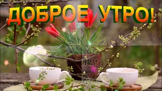 ДОБРОГО ВЕСЕННЕГО УТРА! ПРЕКРАСНОГО ДНЯ! МУЗЫКАЛЬНАЯ ОТКРЫТКА! ВИДЕО ОТКРЫТКА!