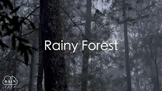 Rain Sounds For Sleeping - Heavy Rain and Thunder Sounds On Glass Roof at Night - Relax Sleep Sounds