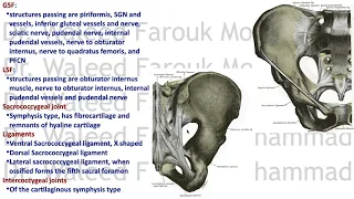 PVS 2 Osteology, Joints Part 2