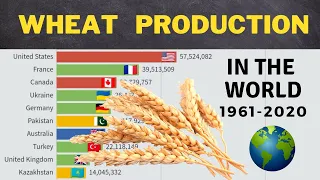 WHEAT Production In The World By Country | 1961-2020 | The Largest Producers Of Wheat