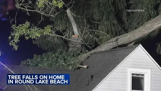 Storms topple trees, knock out power across Chicago area