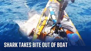 Shark attacks fisherman on kayak off the Hawaii coast