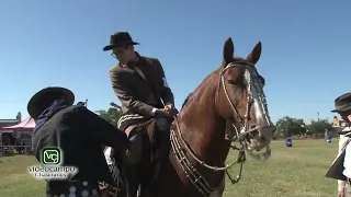 Concurso de Aperos de Uso Tradicional y Caballos de Trabajo Clasificación Chascomús