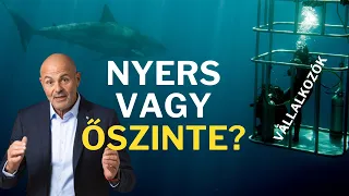 Moldován. Álarc van rajta, vagy tényleg ennyire nyers? Moldován András interjú. Ez üzlet! - Minner