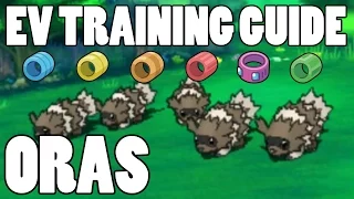 Omega Ruby Alpha Sapphire Horde EV Training Guide! EV Training Horde Locations ORAS