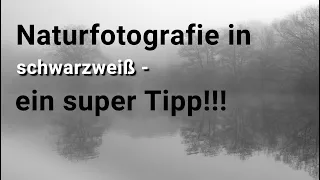 Naturfotografie in schwarzweiß -  ein genialer Tipp/ Nikon D750