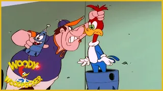 Woody Woodpecker | Cheap Seat Woody | Full Episodes