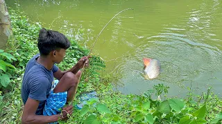 Best Amazing Hook Fishing Video 2023 ~ Fishing With Hook ~ Traditional Hook Fishing ~ Рыбалка Видео