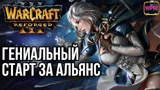 ГЕНИАЛЬНЫЙ СТАРТ ЗА АЛЬЯНС: Warcraft 3 Reforged