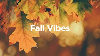 Fall Vibes  🍂 Relaxing Chillout Songs to Calm Down