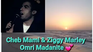 Cheb Mami & Ziggy Marley 💕 Omri Madanite 💔 عمري ماظنيت 💥@Yassinenobl85