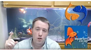 Quarantining Fish With Aquarium Co-Op! Tank Talk Live Pres. By KGTropicals!!